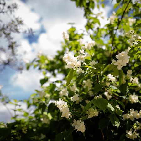 Il Giardino Bed and Breakfast Pimonte Buitenkant foto