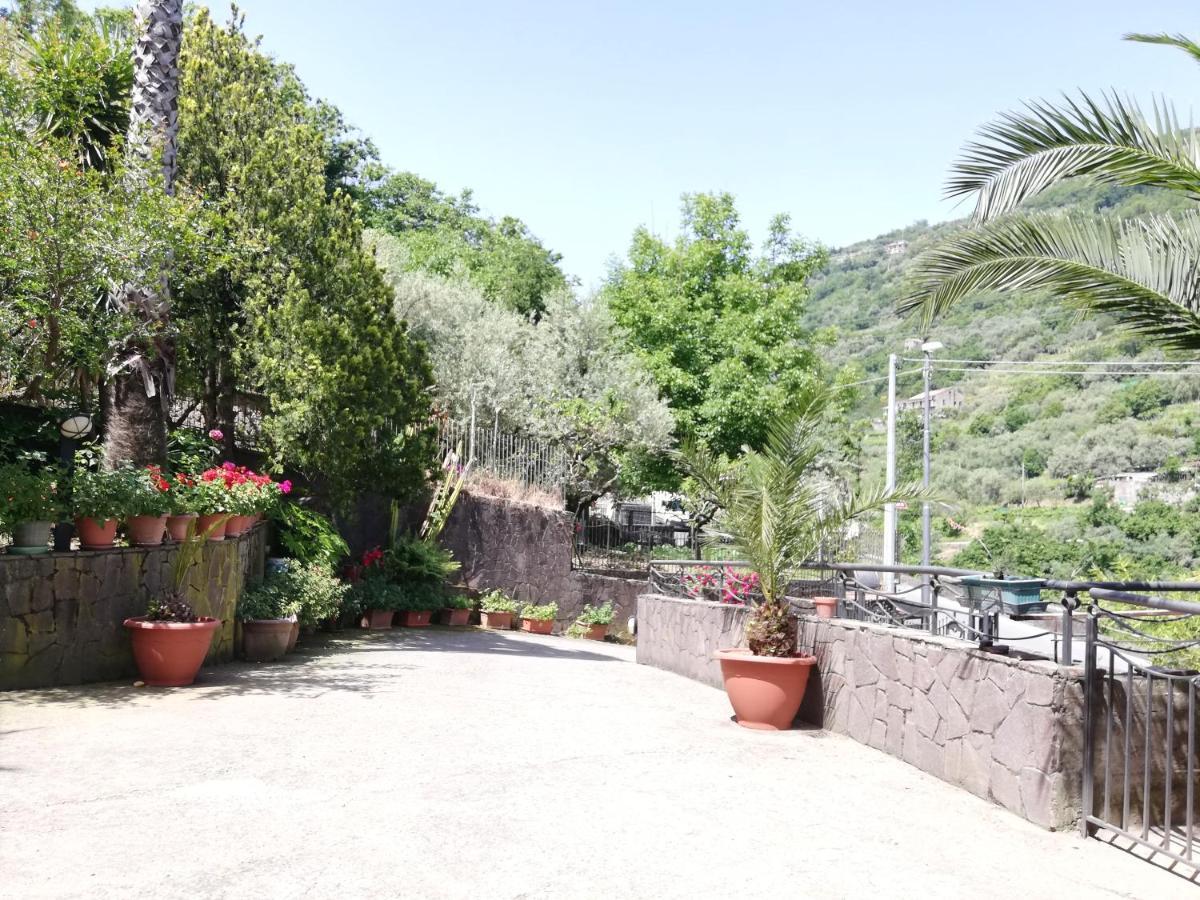 Il Giardino Bed and Breakfast Pimonte Buitenkant foto