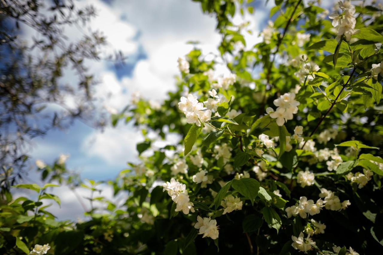 Il Giardino Bed and Breakfast Pimonte Buitenkant foto